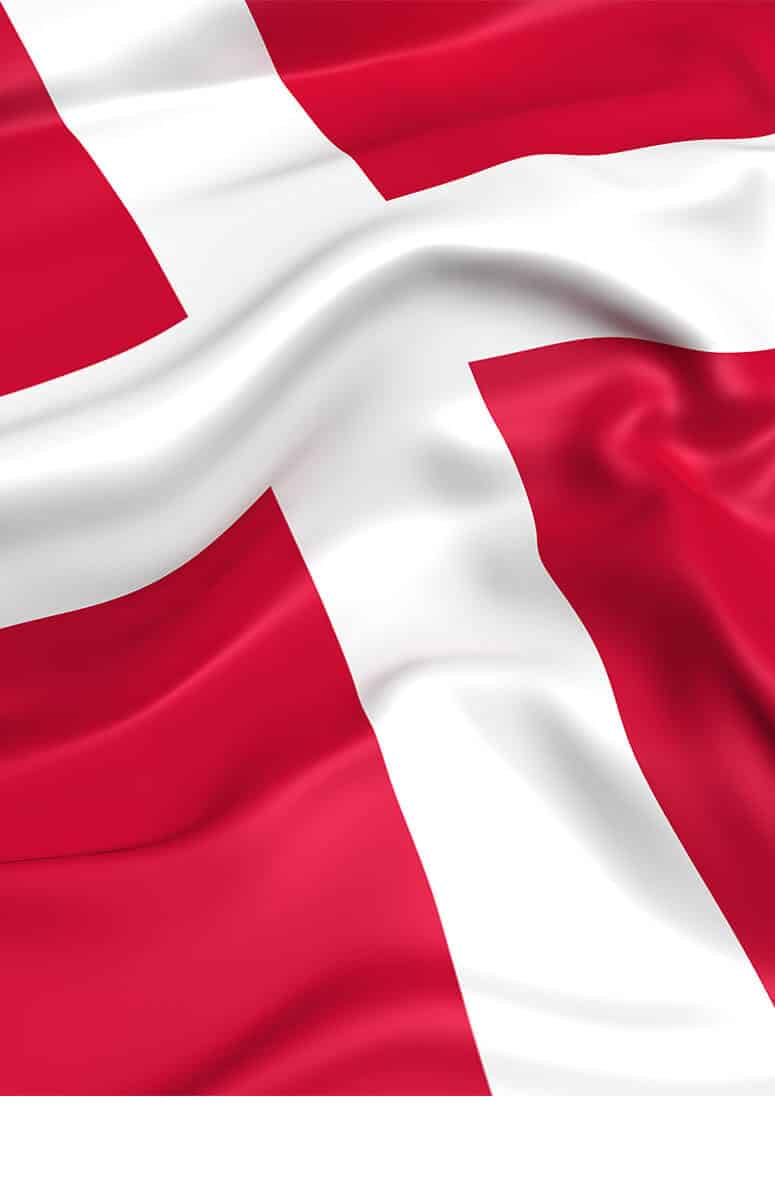 English - Danish Translation Service - Protranslate