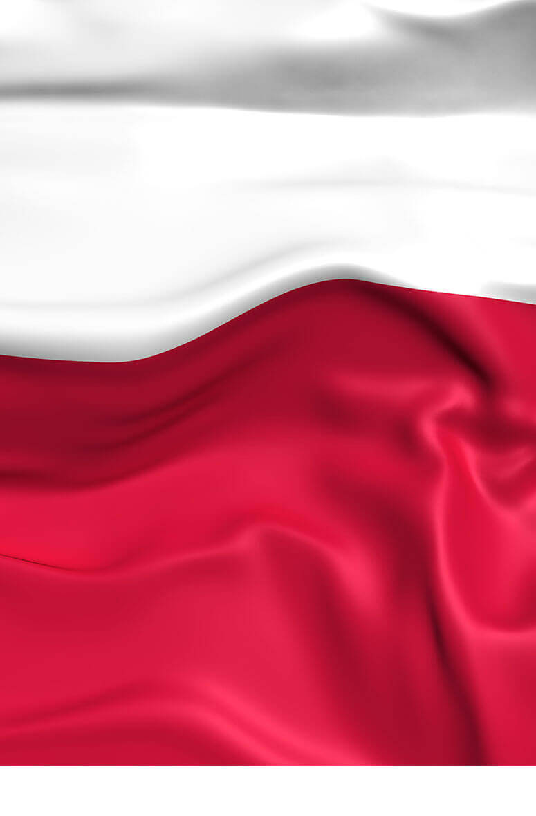 English Polish Translation Service Protranslate