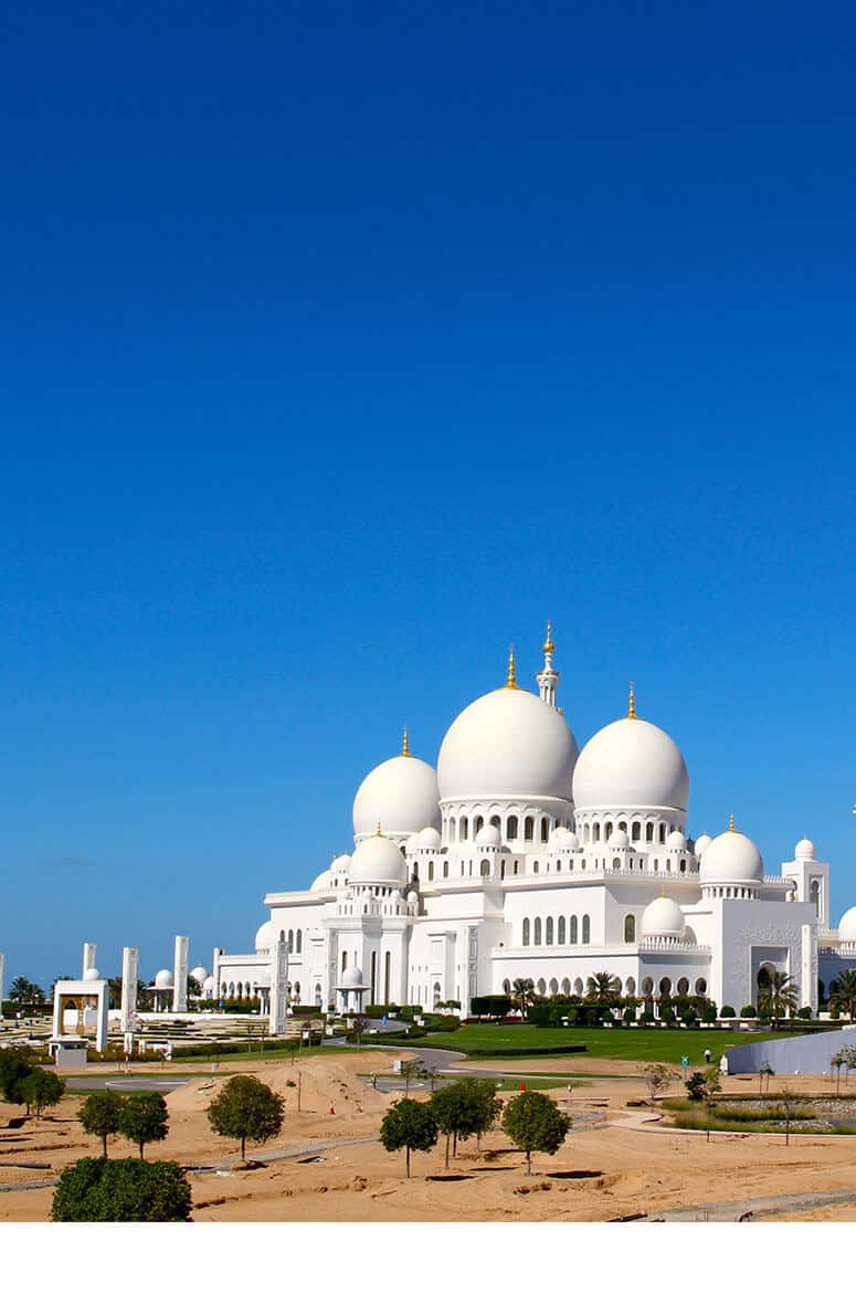 Abu Dhabi Translation Office Protranlate